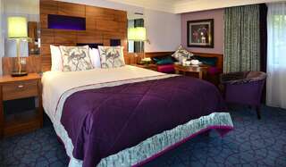 Отель Clontarf Castle Hotel Дублин Стандартный двухместный номер с 1 кроватью-2